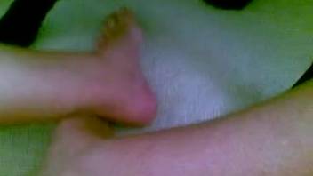 Guy masturbates canine's dick and ingests the semen