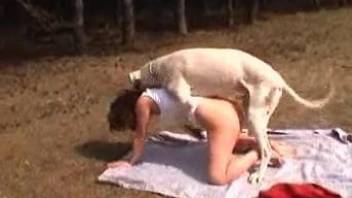 Hairy pussy bombshell gets destroyed by a horny dog