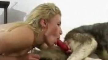 Incredible zoophile action with VERY hot bitches