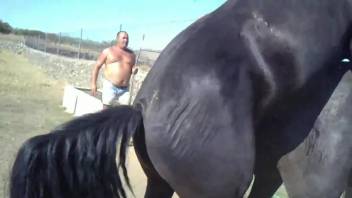 Sexy horses enjoying outdoor fucking on camera