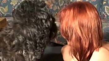 Attractive woman with tan lines handling a massive black dog's member