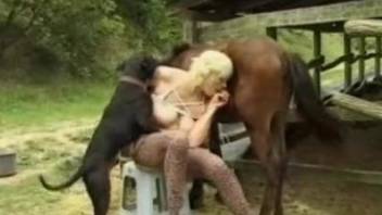 Short-haired blonde is about to fuck two animals at once