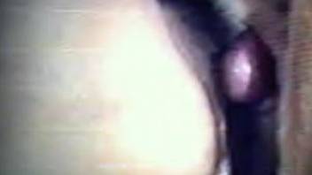 Close-up amateur bestiality video with hot sex