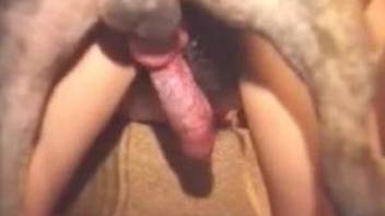Passionate orgy, passionate bestiality group sex