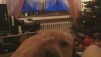 Gay