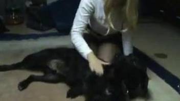 Busty zoophile mommy deepthroats a dog's hot cock