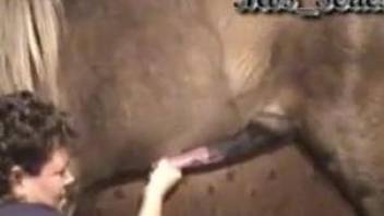 Horse humps woman's pussy and gags her in crazy XXX show