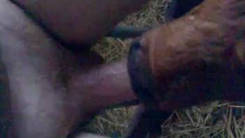 Dude's uncut dick gets deepthroated by a kinky cow