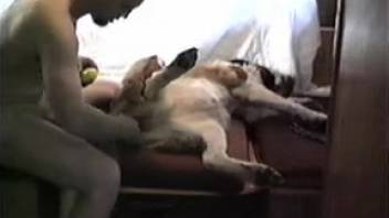 Naked guy sits and fondles his female dog's vagina