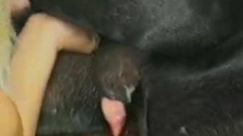 Extreme zoo fuck compilation with passionate sex