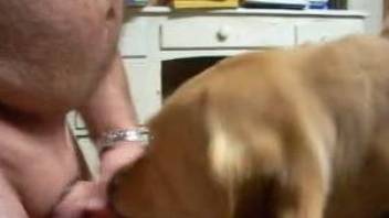 Chubby guy gets his dick licked by a good-looking dog