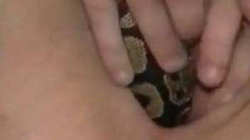 Dark-haired chick is playing with her little pussy with a snake