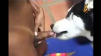 Ebony hottie with sexy tats gets violated by a dog