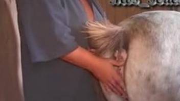Busty mature wants this small horse's huge dick