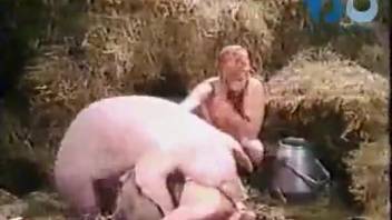 Hot zoophile threesome action with a beautiful pig