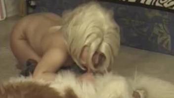 Blonde wig babe sucks a dog's cock in a hot porn scene