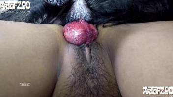 Trimmed pussy Latina getting dominated by a dog dick