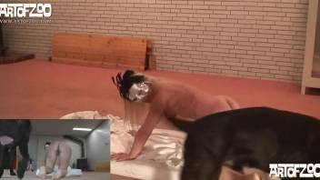 Slutty babe getting fucked by a horny-ass doggo