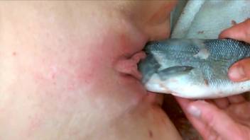 Pretty pussy getting penetrated with a fish dildo
