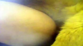 Fat booty babe gets fucked from behind by a dog