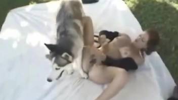 Aroused female enjoys massive dog inches in her hairy cunt