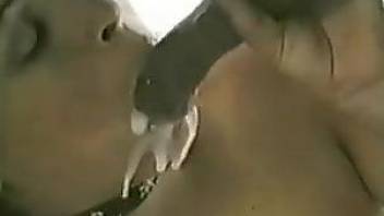Collared lady showing her oral skills on camera