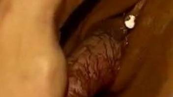Hairy cock penetrates a vagina in a close up