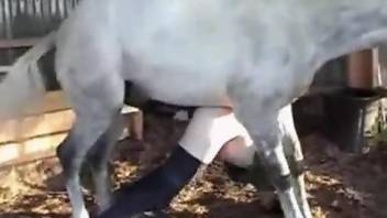 Gay dude pulls down his pants to get ass-fucked by a horse