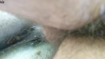 Intimate close-up footage of a guy deeply penetrating a horse's rear end
