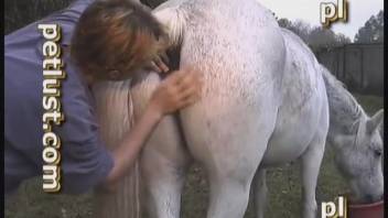 Dude intensely bangs horse in wild outdoor webcam footage