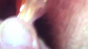 Steamy vagina being penetrated by a gorgeous fish