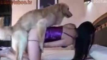 Brunette Latina getting plowed by her loving dog