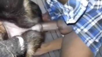 Man deep fucks dog and makes sure to film himself