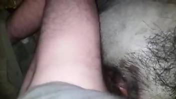 Deep sex with animals for a gay lad with restless desires