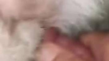 Closeup scenes with a guy deep fucking his animal