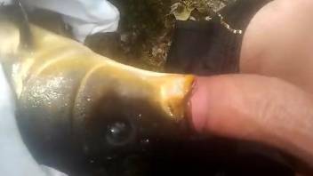 Dude face-fucking a sexy fish while outdoors