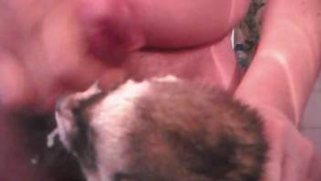 Sexy ferret getting facial'd in a porno movie
