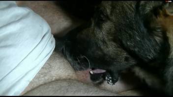 Bushy dick guy deepthroating a compliant beast