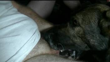 Hairy cock dude throat-fucking a submissive animal
