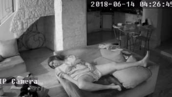 Secret camera adult video featuring a canine and a aroused mature vixen