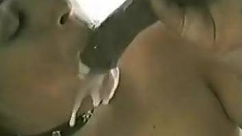 Collared chick getting fucked by a horny stallion