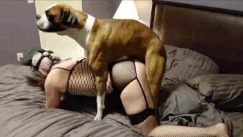 BDSM slavegirl getting banged by her canine master