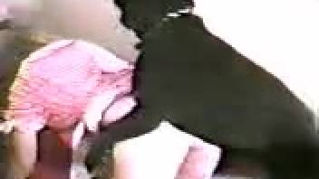 Fair-complexioned vixen is screwed by a dark hound