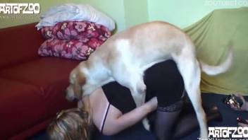 Blonde in black stockings destroyed by an animal