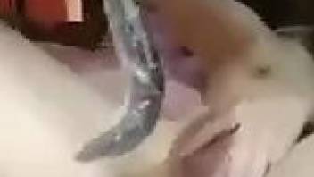 Asian camgirl is about to fuck herself with a fish