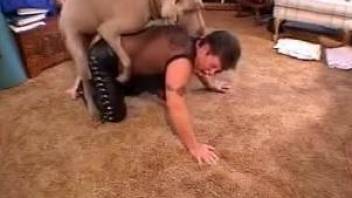 BBW MILF in a see-trough top gets plowed by a dog
