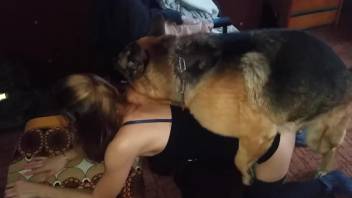 Fine woman filmed from above taking dog cock into her precious cunt