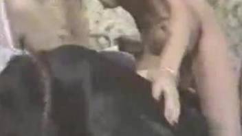 Naughty black hound is fucking a hot woman on a bed