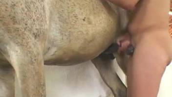 Frizzy-haired Latina getting pounded by a VERY hung beast