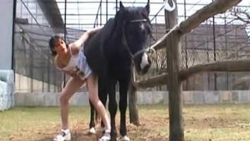 Trimmed cunt brunette getting banged by a stallion